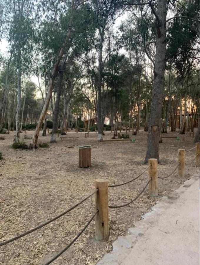 Cosy Appartement A 3Min De La Foret Et 5Min De La Plage タンジェ エクステリア 写真