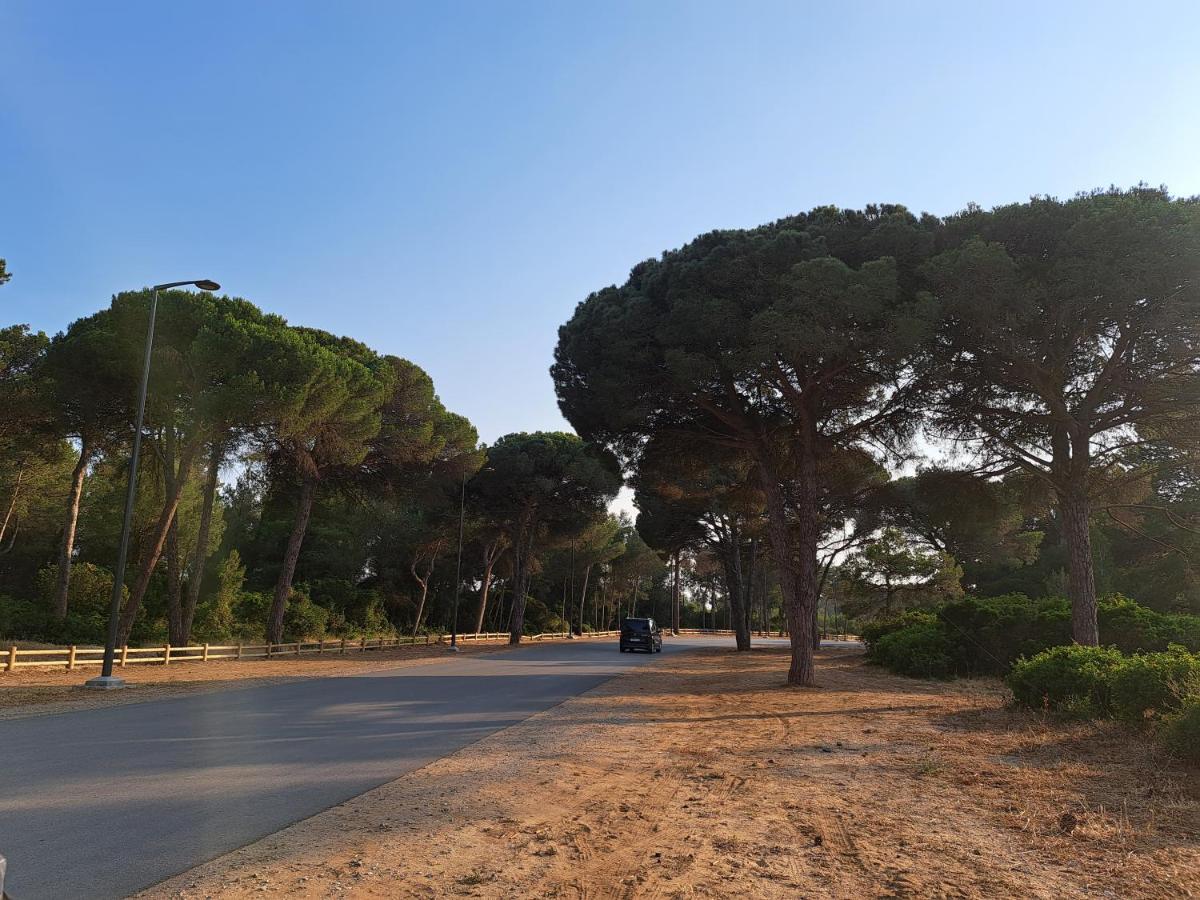 Cosy Appartement A 3Min De La Foret Et 5Min De La Plage タンジェ エクステリア 写真